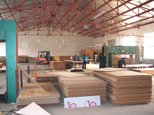 鄆城恒通木業(yè)生產(chǎn)車(chē)間實(shí)拍